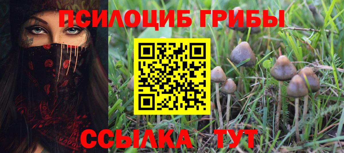 Галлюциногенные грибы мухоморы  купить  сайты  Вход с VPN  Благодарный  Псилоцибиновые грибы Cubensis 