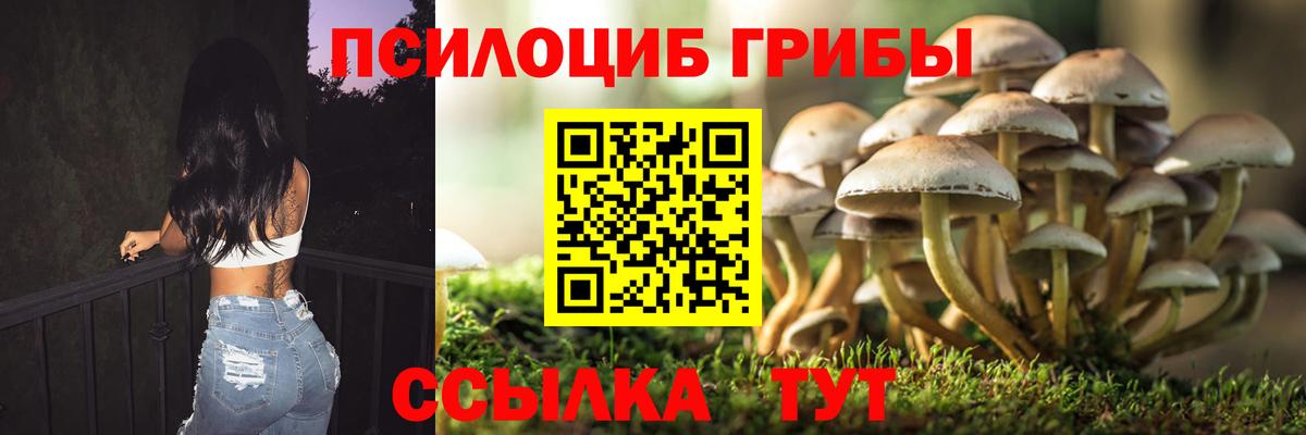 Псилоцибиновые грибы MAGIC MUSHROOMS Благодарный